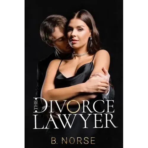 The Divorce Lawyer