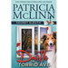 Death on Torrid Ave. (Secret Sleuth, Book 2)