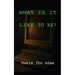What Is It Like to Be?