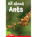 All about Ants: Level 2: Book 9