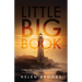 Little Big Book: Compilation of Poetic Writings and More