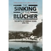 The Sinking of the Blücher: The Battle of Drobak Sound, April 1940