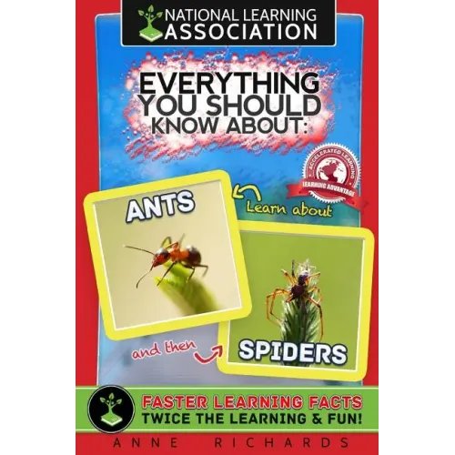 Everything You Should Know About: Ants and Spiders