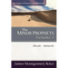 The Minor Prophets: Micah-Malachi