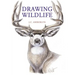 Drawing Wildlife