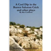 A Cool Dip in the Barren Saharan Crick and other plays