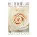 Life Touches Life: A Mother's Story of Stillbirth and Healing
