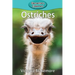 Ostriches
