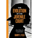 The Evolution of the Juvenile Court: Race, Politics, and the Criminalizing of Juvenile Justice