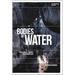 Bodies of Water: Posthuman Feminist Phenomenology