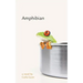 Amphibian