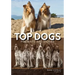 Top Dogs: Portraits and Stories