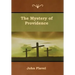 The Mystery of Providence