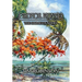 A Tropical Frontier: The Homesteaders