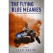 The Flying Blue Meanies: Surviving the bipolar '60s in America and Israel