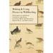 Making and Using Decoys in Wildfowling - With Chapters on Solid Decoys, Cork Decoys, Snipe Decoys, Live Decoys, Blinds, Salt Water Decoys, Regional De