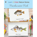 Freshwater Fish