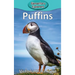 Puffins