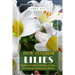 How to Grow Lilies: Beginners Guide to Planting, Caring, and Enjoying Stunning lily Blooms