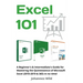 Excel 101: A Beginner's & Intermediate's Guide for Mastering the Quintessence of Microsoft Excel (2010-2019 & 365) in no time!