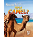 Ride a Camel?