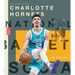 The Story of the Charlotte Hornets
