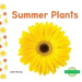 Summer Plants