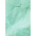 Planner: Start Anytime Undated 52 Week Planner For Efficiency & Productivity, Organizer for Goal-setting, Task Management, Budg