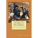 The Greater SW of New Mexico- La Gran Chichimeca- History/Migration: It's Story and History- Unto the End of Times