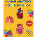 Human Anatomy Coloring Book for Kids: Human Body Coloring Sheets, Great Gift for Boys & Girls, Ages 4, 5, 6, 7, and 8 Years Old Children's Science Boo