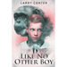 Like No Other Boy