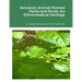 Jamaican Animal-Named Herbs and Roots: An Ethnomedical Heritage