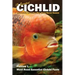 15 Essential Cichlid Fish Facts That You May Have Never Known: Fishlaw1 Must Read Essential Cichlid Facts