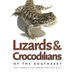Lizards and Crocodilians of the Southeast
