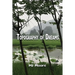 Topography of Dreams