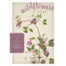 Wildflowers of Maine