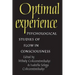 Optimal Experience: Psychological Studies of Flow in Consciousness