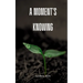 A moment's knowing