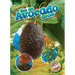See an Avocado Grow