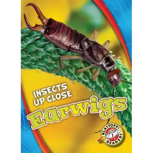 Earwigs