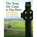 The Story We Carry in Our Bones: Irish History for Americans