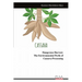Dangerous Harvest: The Environmental Perils of ​​​​​​​Cassava Processing