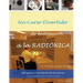 Un curso divertido de iniciacion a la RADIONICA: Milagros en las palmas de tus manos