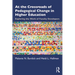 At the Crossroads of Pedagogical Change in Higher Education: Exploring the Work of Faculty Developers