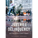 Juvenile Delinquency: Why Do Youths Commit Crime?