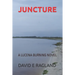 Juncture: A Lucena Burning Novel
