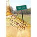 Two Egg, Florida: A Collection of Ghost Stories, Legends and Unusual Facts