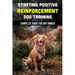 Starting Positive Reinforcement Dog Training: Complete Guide For Any Owner: Understanding Dog Body Language