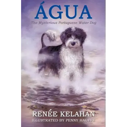 Agua, the Mysterious Portuguese Water Dog