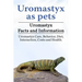 Uromastyx as pets. Uromastyx Facts and Information. Uromastyx Care, Behavior, Diet, Interaction, Costs and Health.